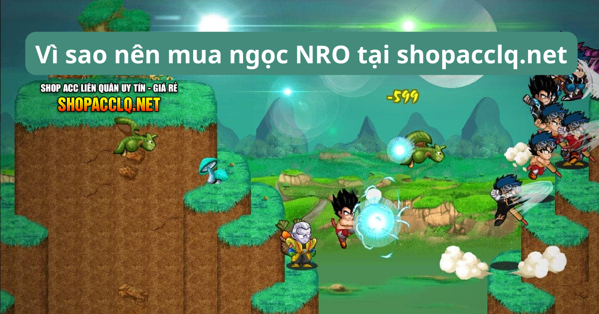 Vì sao nên mua ngọc NRO tại shopacclq.net?