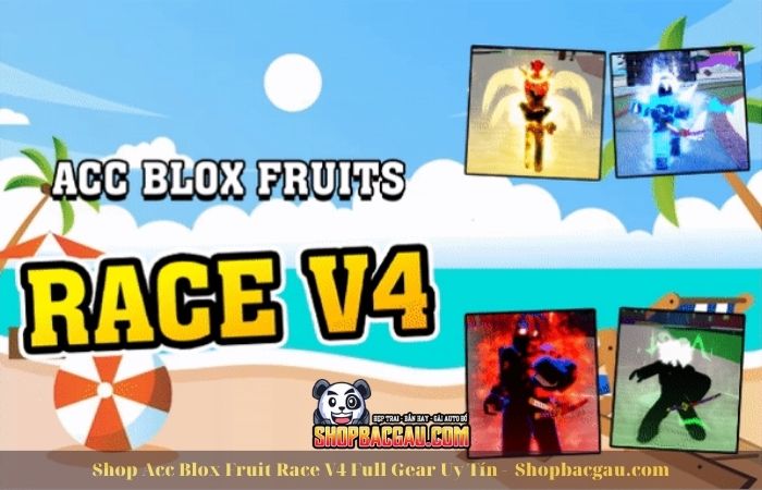 Shop Bán Acc Blox Fruit Race V4 Full Gear - Shopbacgau.com