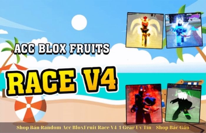 Shop Bán Random Acc Blox Fruit V4 1 Gear - Shopbacgau.com